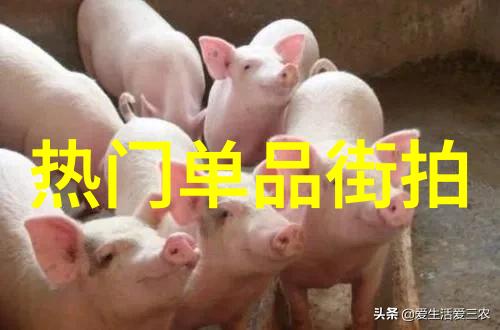 都市繁华捕捉街头光影的魅力