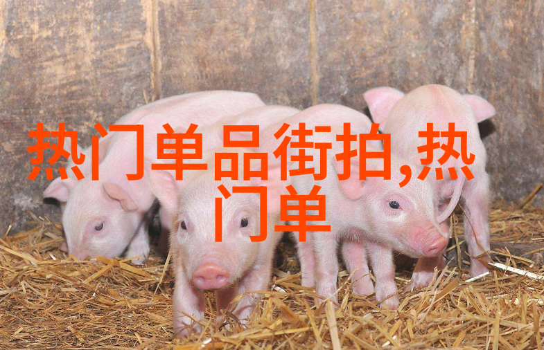 中年男子短发造型时尚男士中长发转变指南
