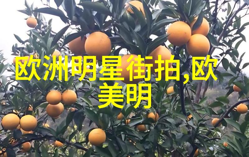 双十一序幕开启秀雅韩情感共鸣走秀视频致胜
