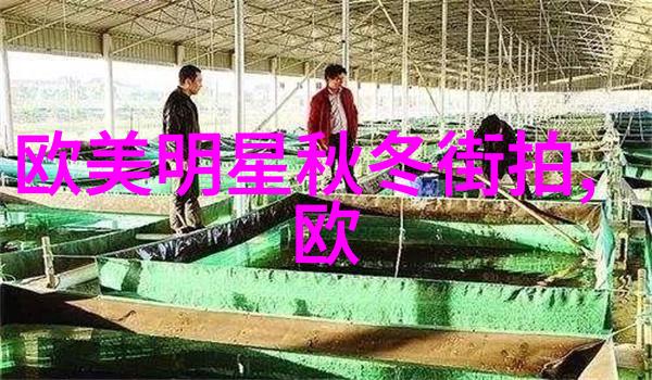 怎么看适合自己的发型我是怎样找到最棒发型的