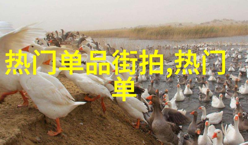男朋友喜欢看别人玩自己-隐秘的观察揭开他对异性游戏的心理