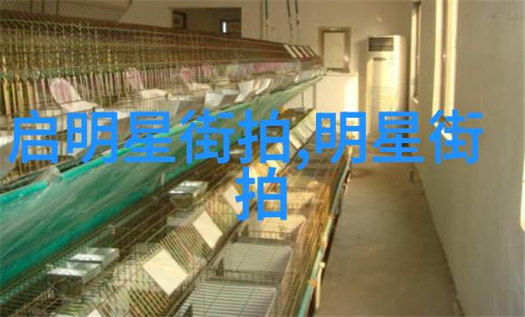 不问朝夕小说po晕雀我怎么就被这本书给po晕了