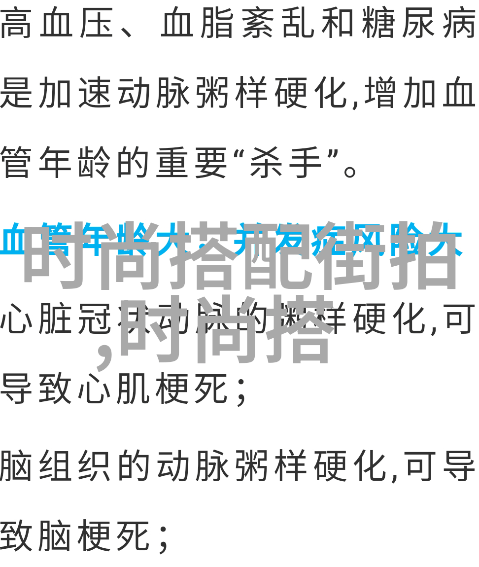 从理论到实践探索优秀团队实施383计划的心得体会