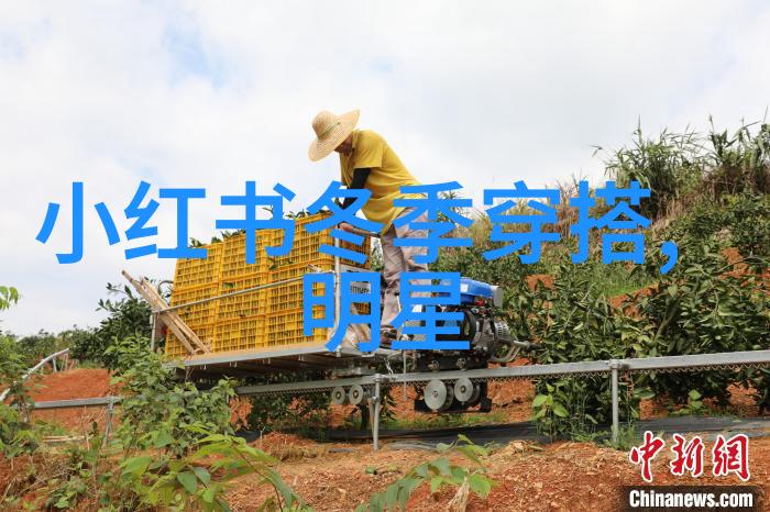 星辰之下仙路争锋寻踪古今第一剑的秘密