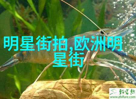未来世界2199我眼中的星际时代