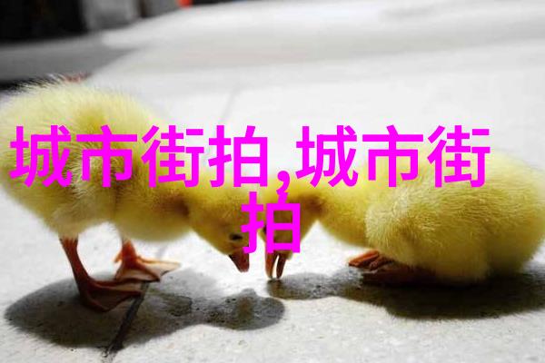 在广州白云区尚艺美发学校学生们能否通过实践与理论相结合的教学方法掌握一流的剪发技巧呢