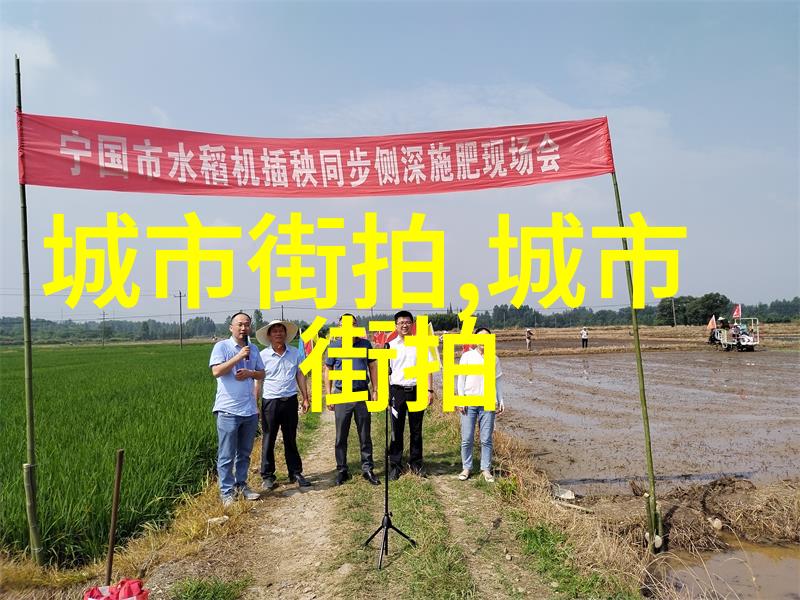 我们三个一起要你好不好一段不寻常的友谊探索