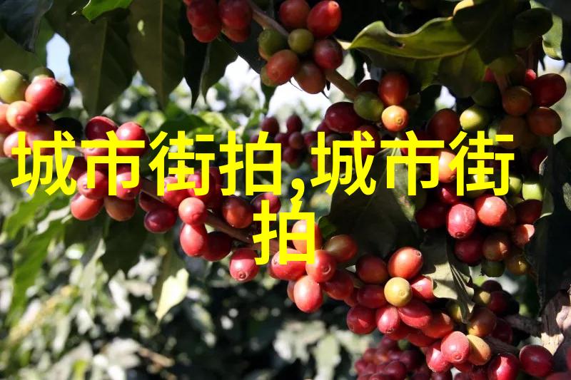 中文字幕产业链的双轨发展一线产区与二线的对比分析