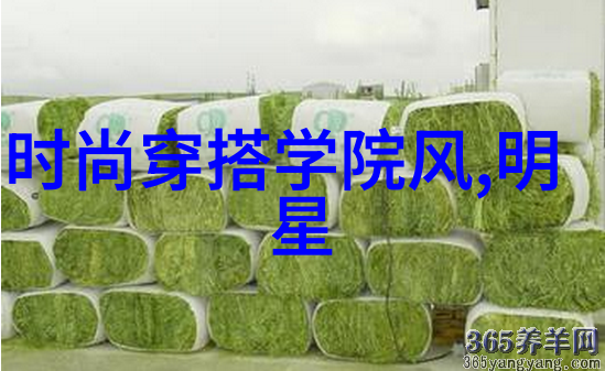 男士时尚秋装精选外套裤装与鞋履搭配指南