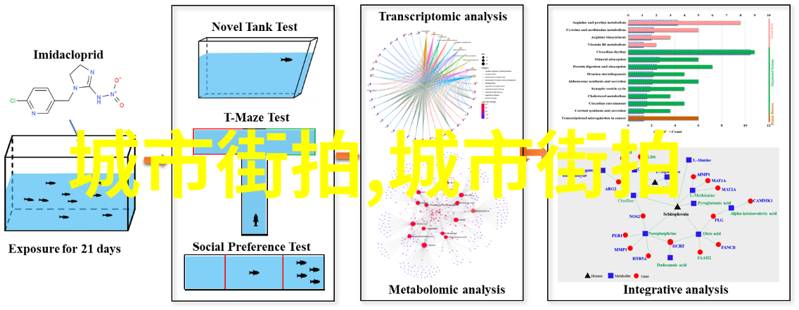 男生版小清新造型指南如何用轻松舒适的方式展现你的个性