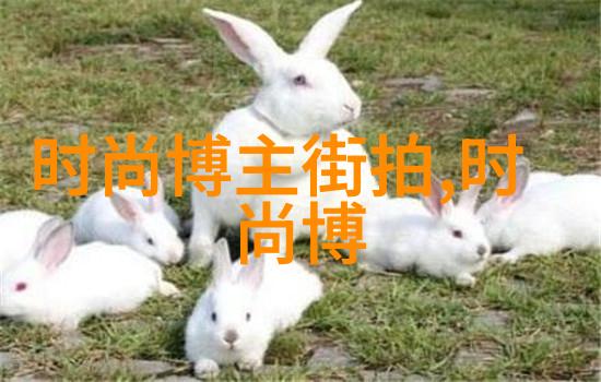 真实的店铺诚信的承诺揭开我开的真不是黑店的故事