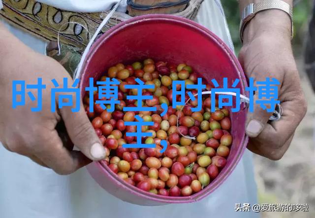 初学美发基础知识-从头发结构到造型技巧美发初学者的必备指南