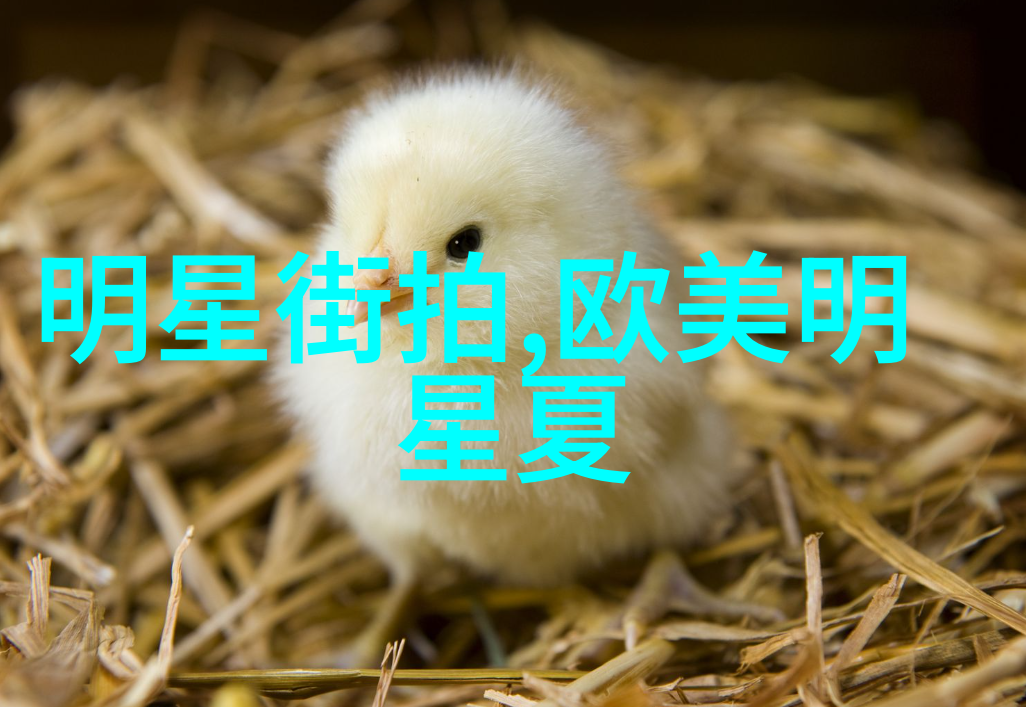 300061未来城市规划与设计高科技建筑与可持续发展