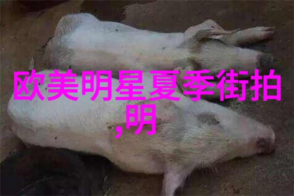 2021年冬季流行风衣犹如夏日的羽翼让人在寒冷中也能感受到温暖与轻盈