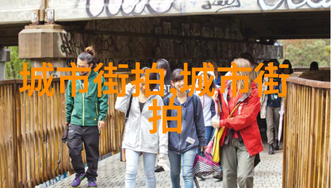 383方案解析深度剖析行业革新中的关键策略与实施路径
