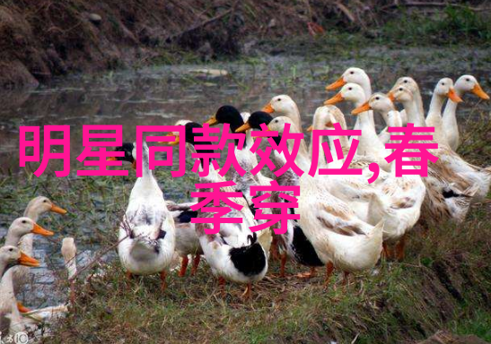 学生使用3D打印机制作模型会学到什么