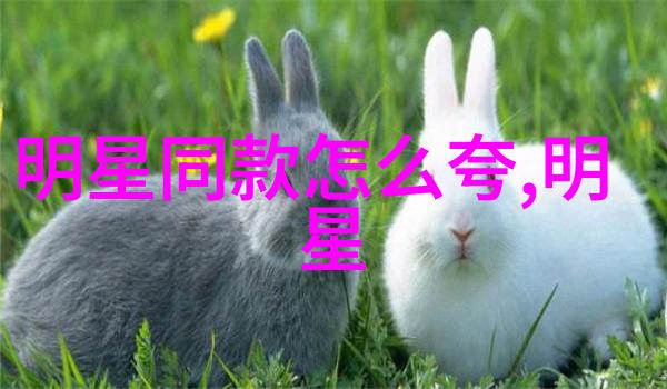 鸭舌帽是否真的能够保护脸部免受太阳紫外线伤害