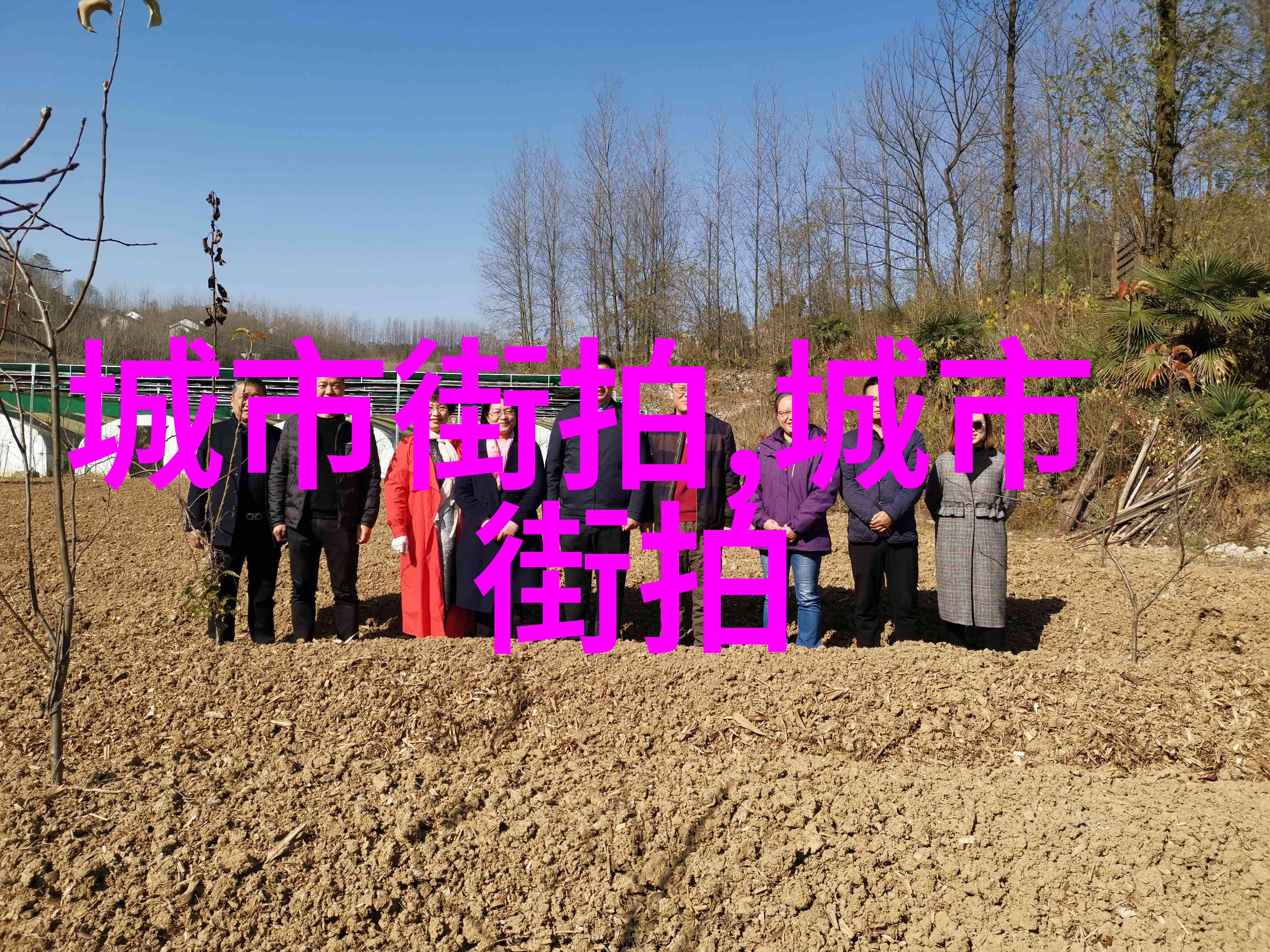 从长到短如何适应和驾驭新时代的短发潮流