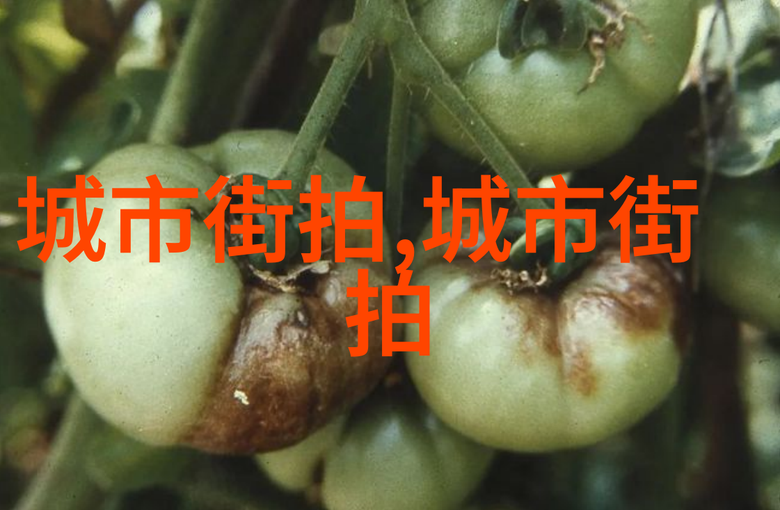 回到1995 - 时光倒流重温一九九五年的风云变幻