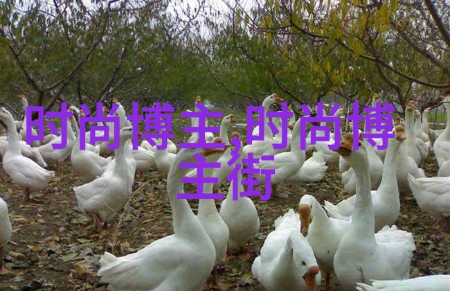 甲虫花园的巴掌印记一段温暖的夏日回忆