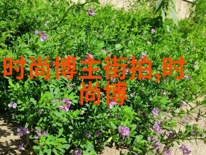 银发美学中老年理发教学视频指南