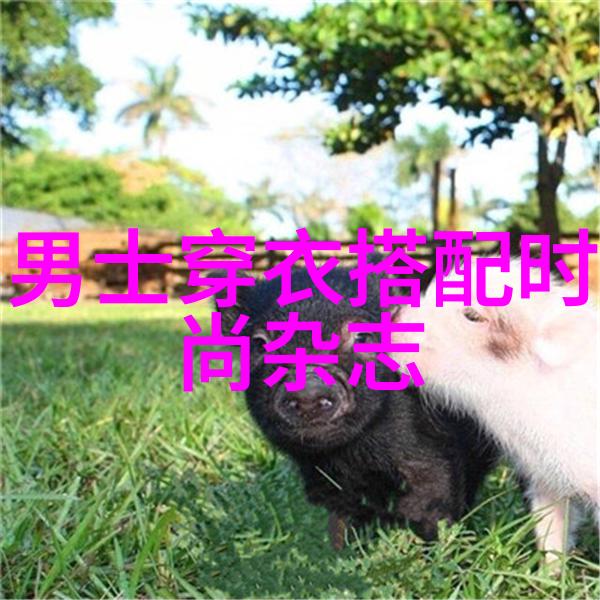 浴室的疯狂之旅C保安的秘密故事