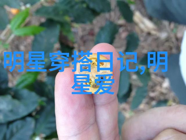 Java之母语探索japonensisjava老师的秘密花园