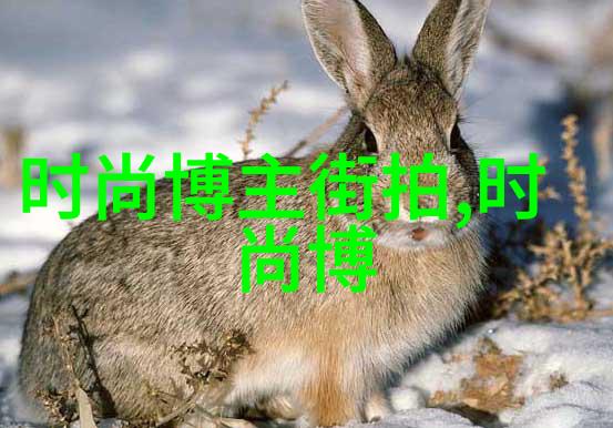 九一传媒制片厂传媒之光免费分享