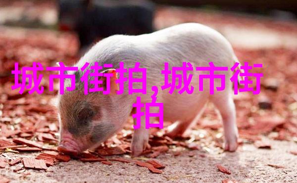 男式毛衣的时尚选择温暖与个性的完美结合