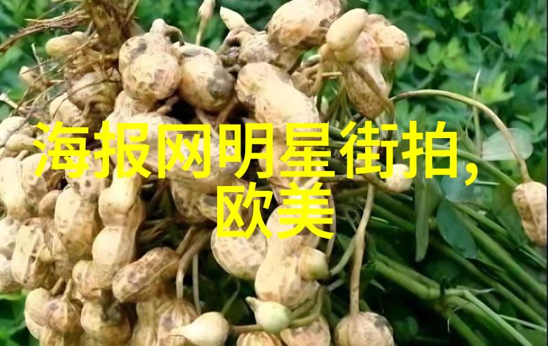 席绢逢魔时刻揭秘古典文学中的神秘邂逅