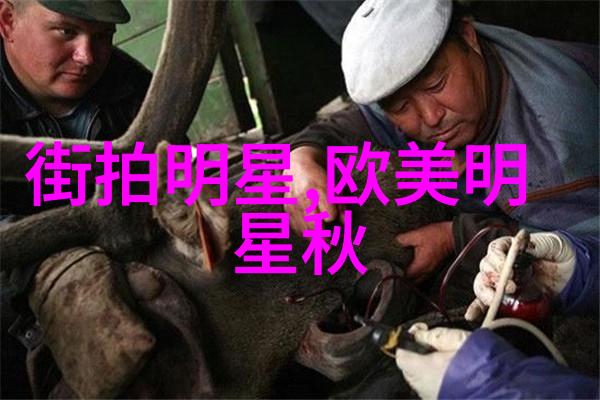 夏季短发造型如何让你的头发在炎热的日子里也保持时尚感