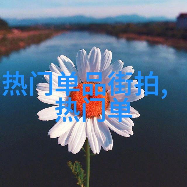 美发学校毕业生剪发资格美发技术与实践操作能力