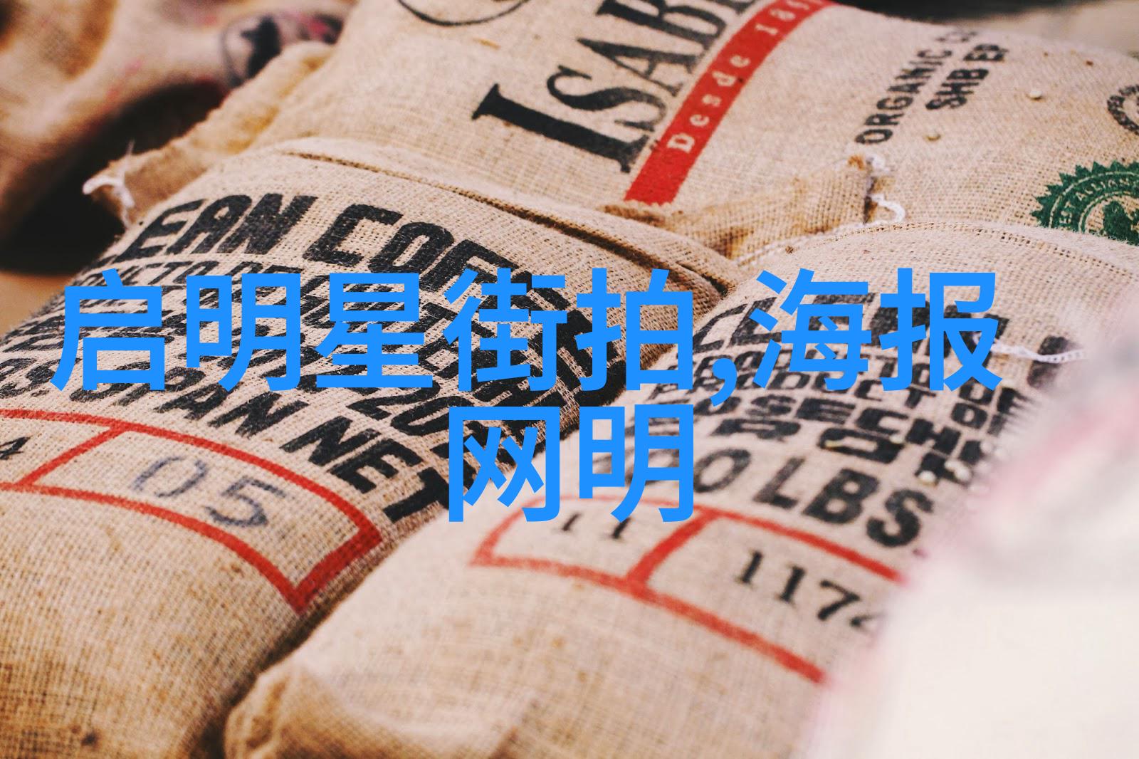牛仔裤的秘密生活从街头到时尚界的不懈奋斗