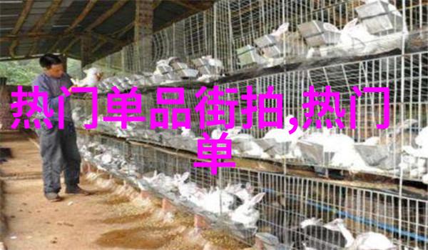 脸型测评与发型配对大师揭秘完美造型之谜