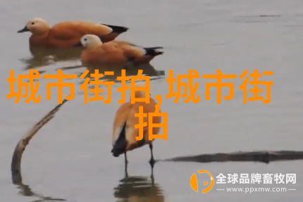 2035未来的智慧城市