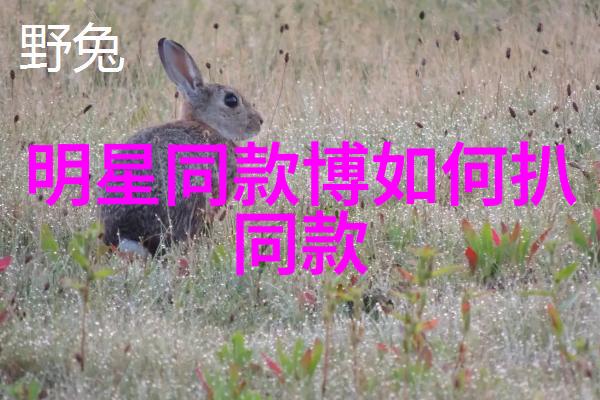 高嘉朗央视五四晚会如同电影屏幕上跳跃的青春之光献唱真爱起舞这首歌曲就像策划一场完美的电影活动让正能量