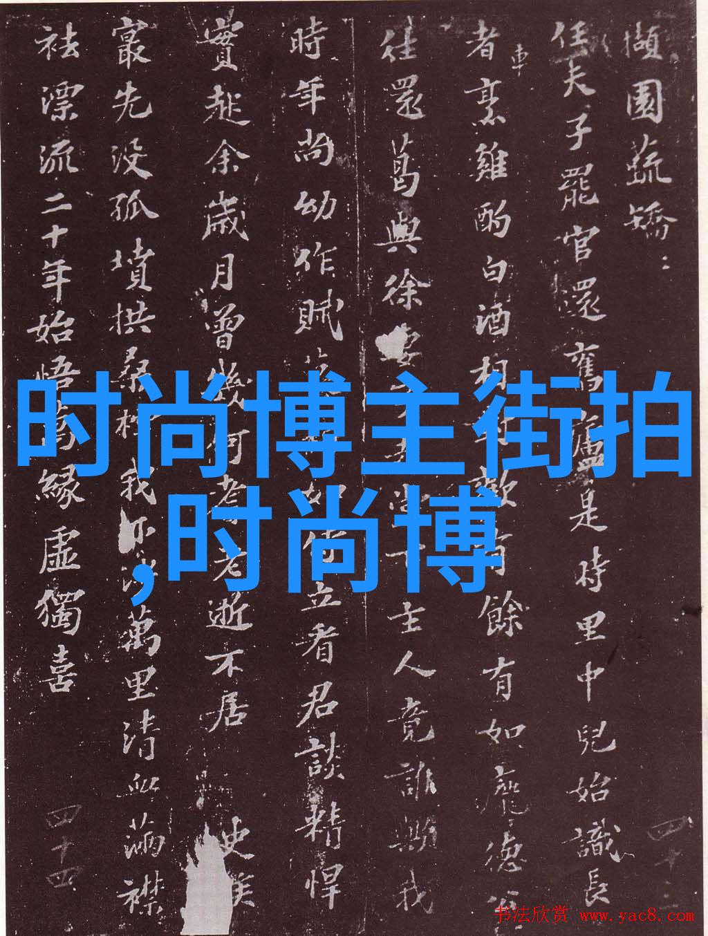 数字的魅力码流中的秘密花园