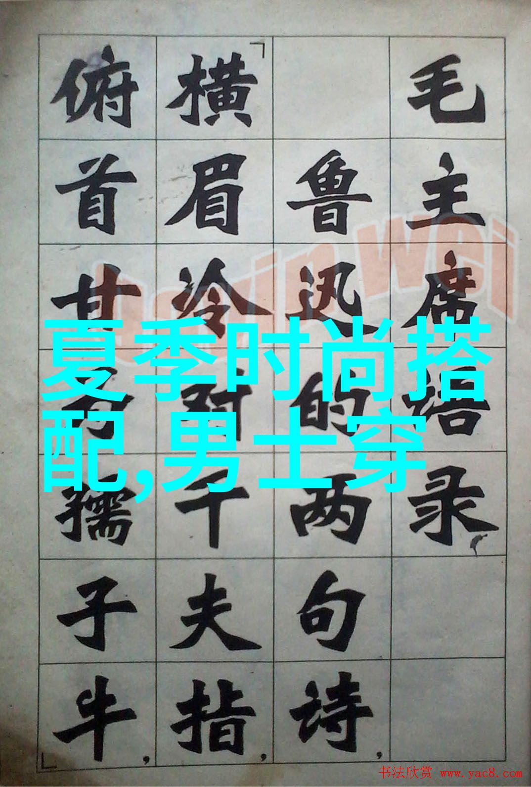 副官代表权力与忠诚的双重身影