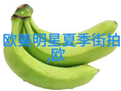人物传记-张锐铁血将军的传奇岁月