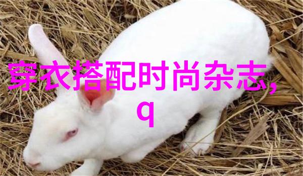 养妖记之妖兽与人间的奇遇与挑战