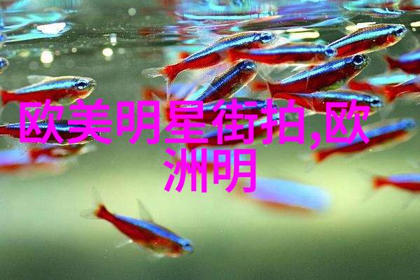 镜头下的剪刀舞自学理发技巧与经验分享