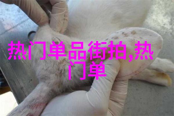 触摸无声的旋律Numb与电子音乐世界的碰撞