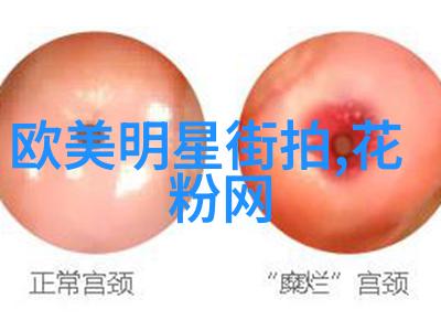 时尚美学-短发精选探索简约魅力与时尚趋势