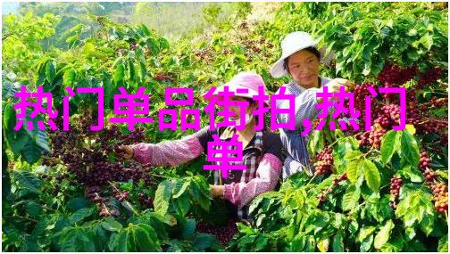 机甲大师未来竞技场的霸主