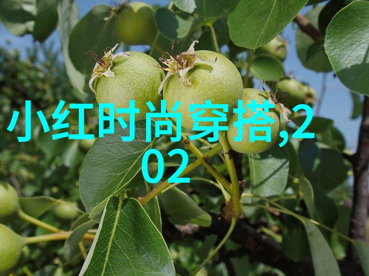从简单到复杂10种不同风格的男士外套搭配方式