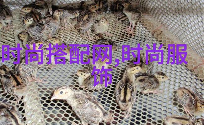 美发培训课精髓与技巧的传承与创新