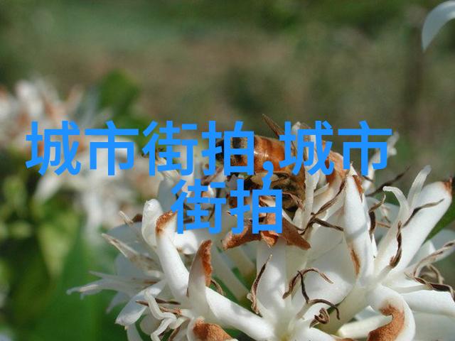 男士春季色彩搭配大师班让色彩说话展现独特魅力
