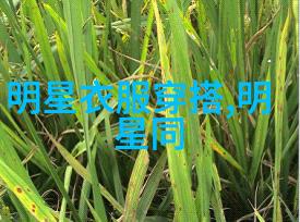 论穿衣打扮在学术研究中的影响及其在提升个人形象与沟通效果中的重要作用