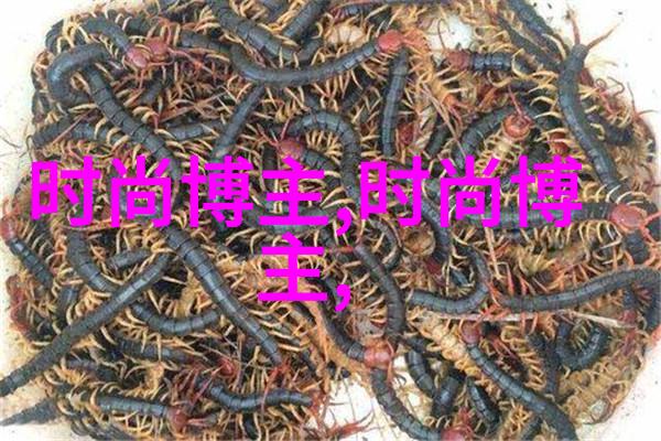 他们的世界一个无限可能的宇宙