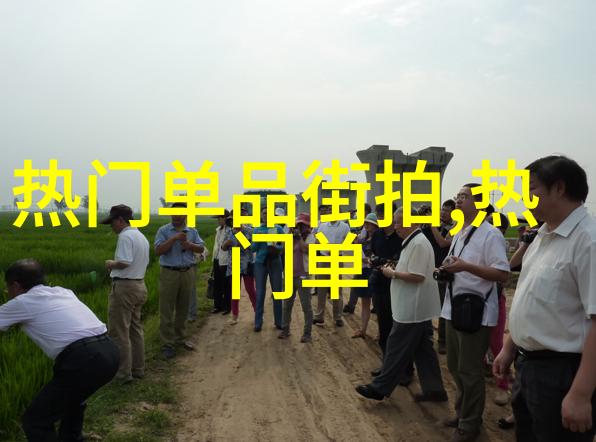 电动牙刷的进阶使用技巧从基础到高级的C类用户操作